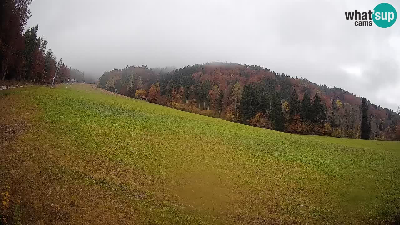 Comprensorio sciistico Kranjska Gora | Brsnina