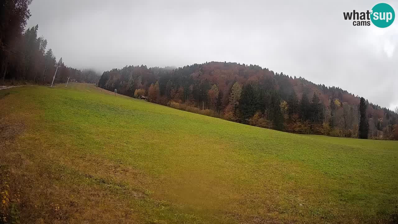 Ski Kranjska Gora | Brsnina