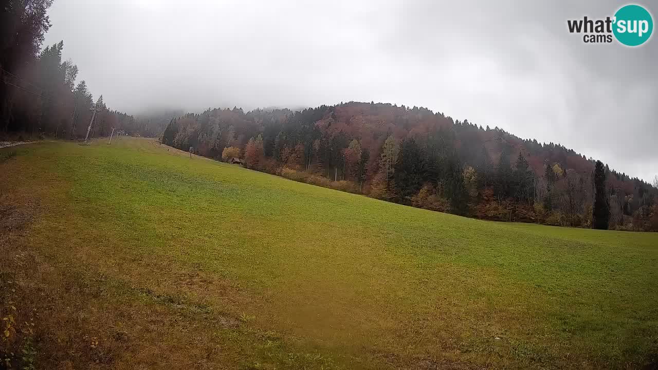 RTC Skigebiet Kranjska Gora | Brsnina