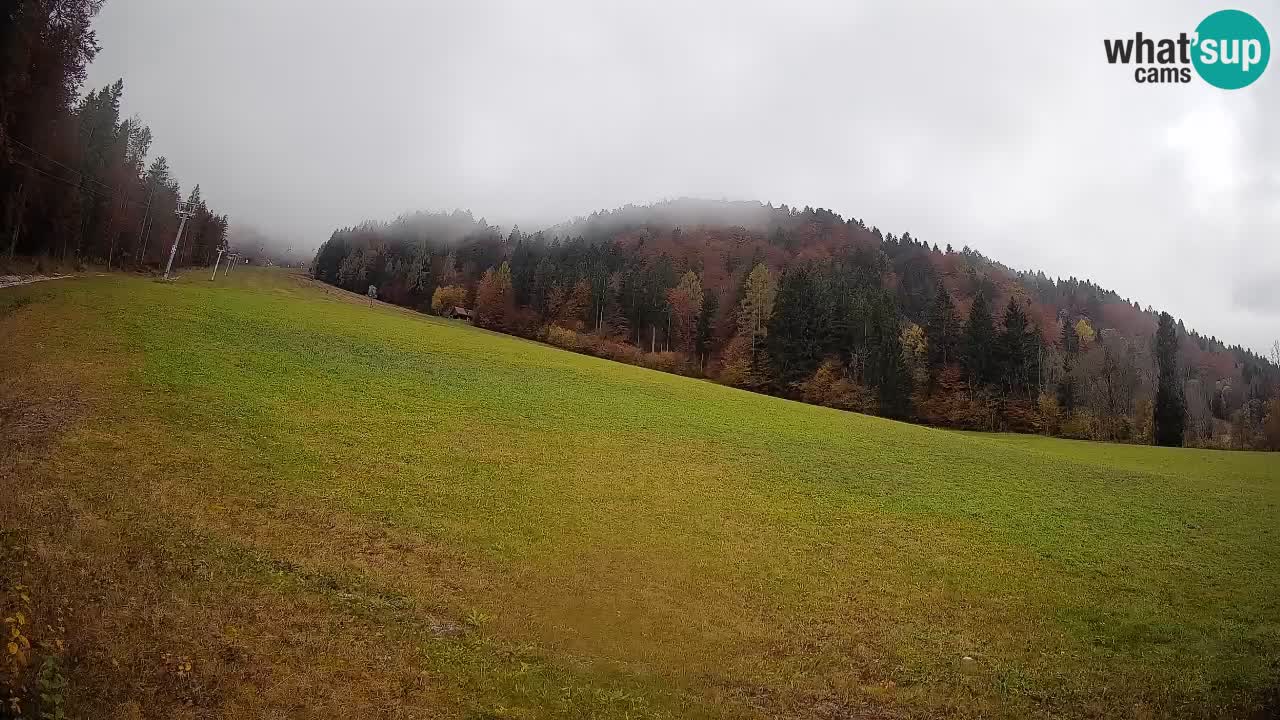 Kranjska Gora Station de ski | Brsnina