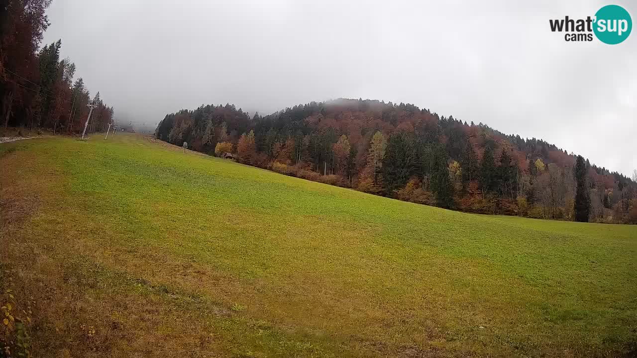 Kranjska Gora Station de ski | Brsnina