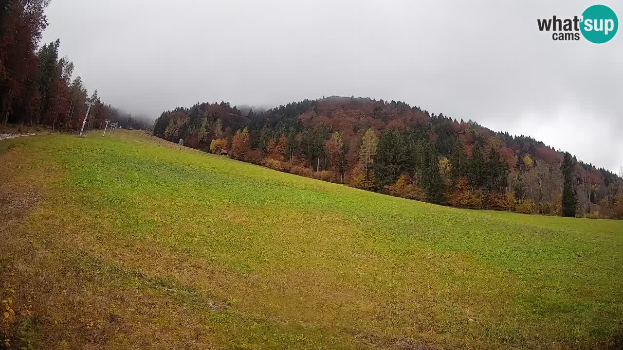 Kranjska Gora SKIJANJE | Brsnina