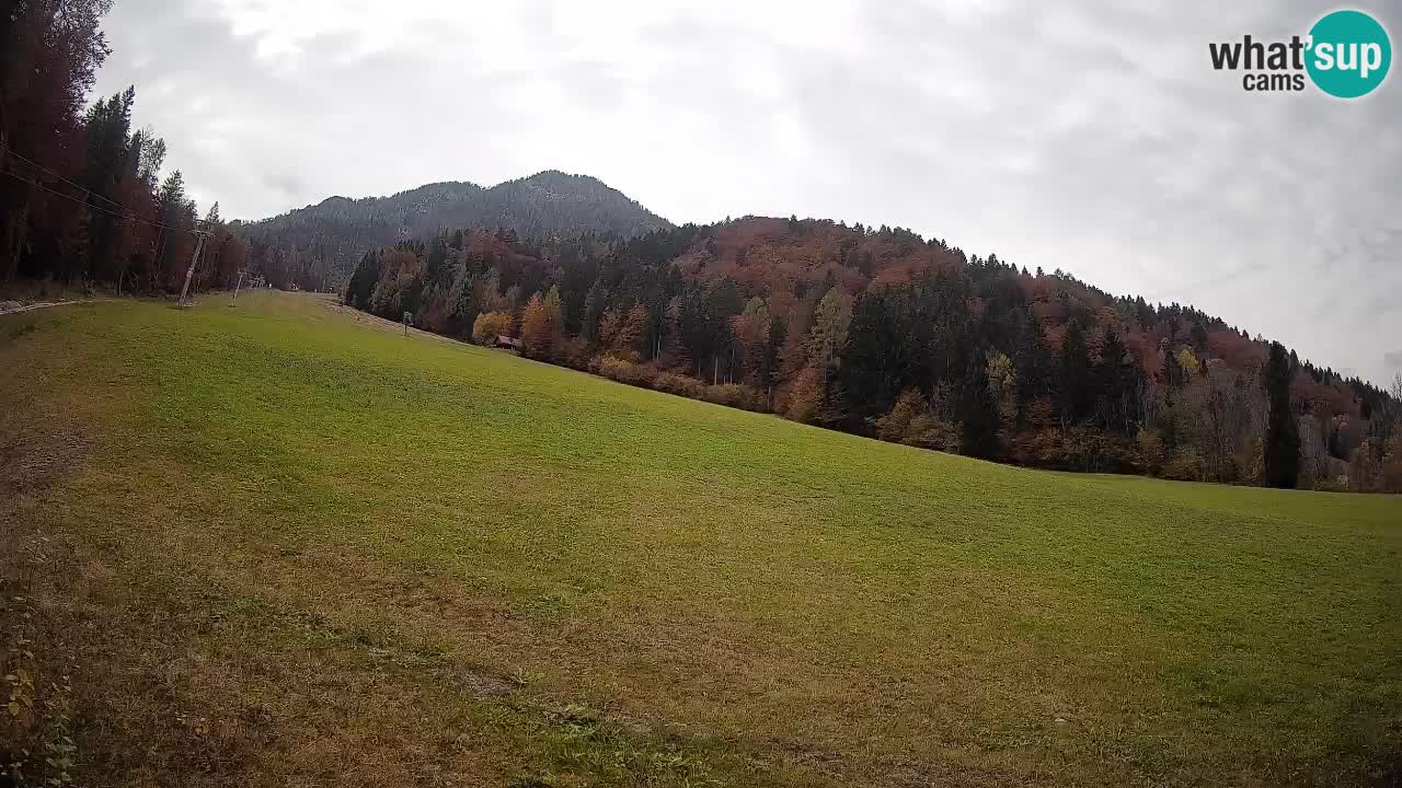 Kranjska Gora SKIJANJE | Brsnina