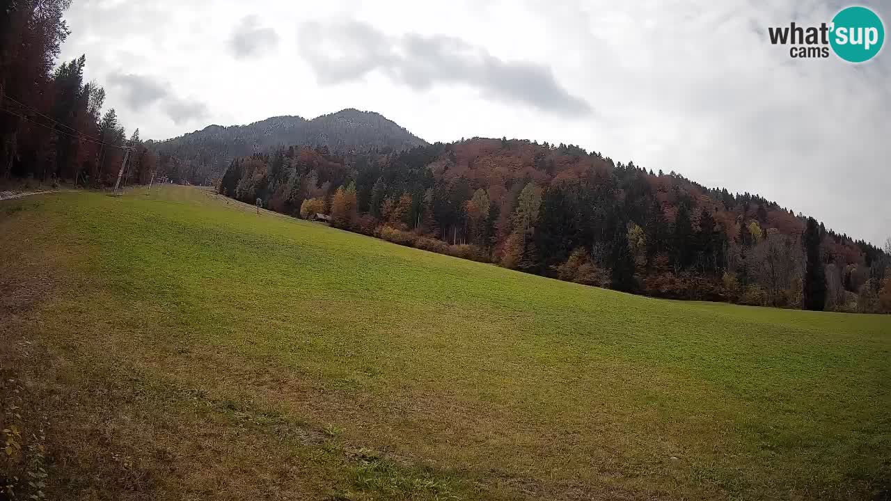 RTC Kranjska Gora | Brsnina