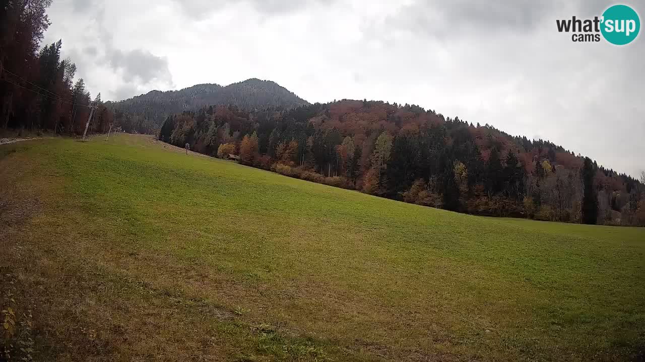 Ski Kranjska Gora | Brsnina