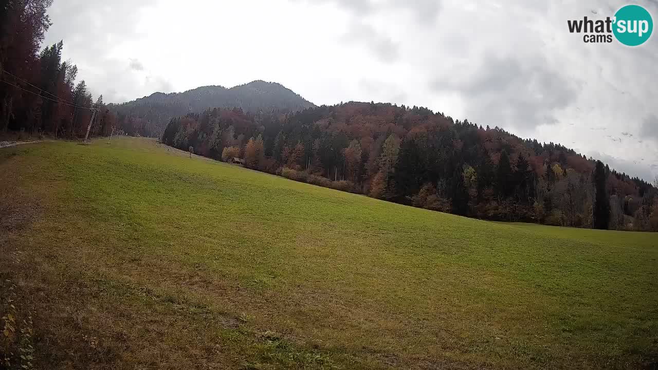 Ski Kranjska Gora | Brsnina