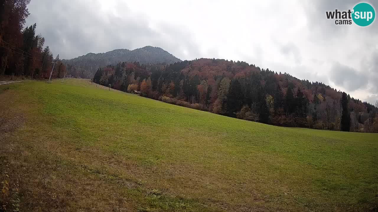 RTC Kranjska Gora | Brsnina