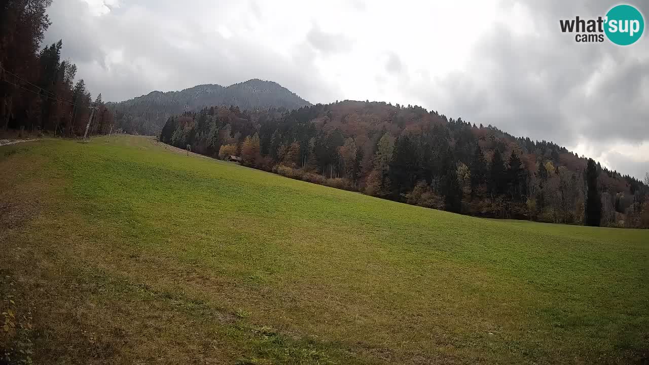 Ski Kranjska Gora | Brsnina