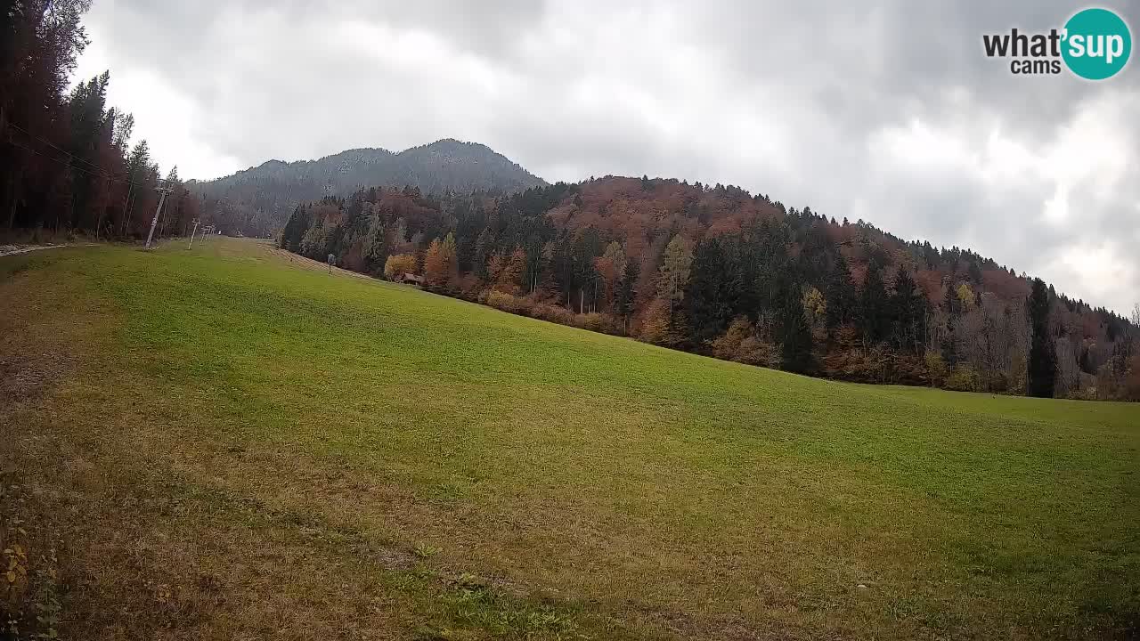 Comprensorio sciistico Kranjska Gora | Brsnina