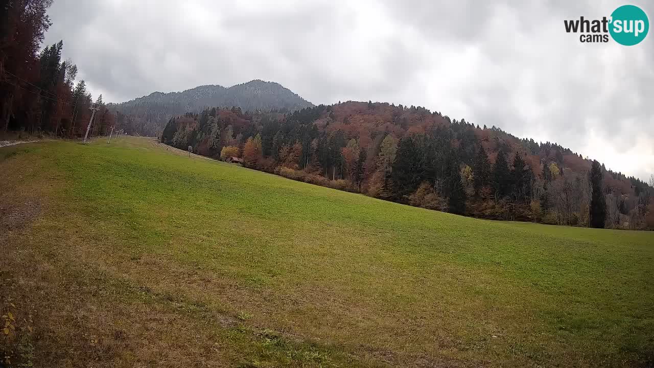 Comprensorio sciistico Kranjska Gora | Brsnina