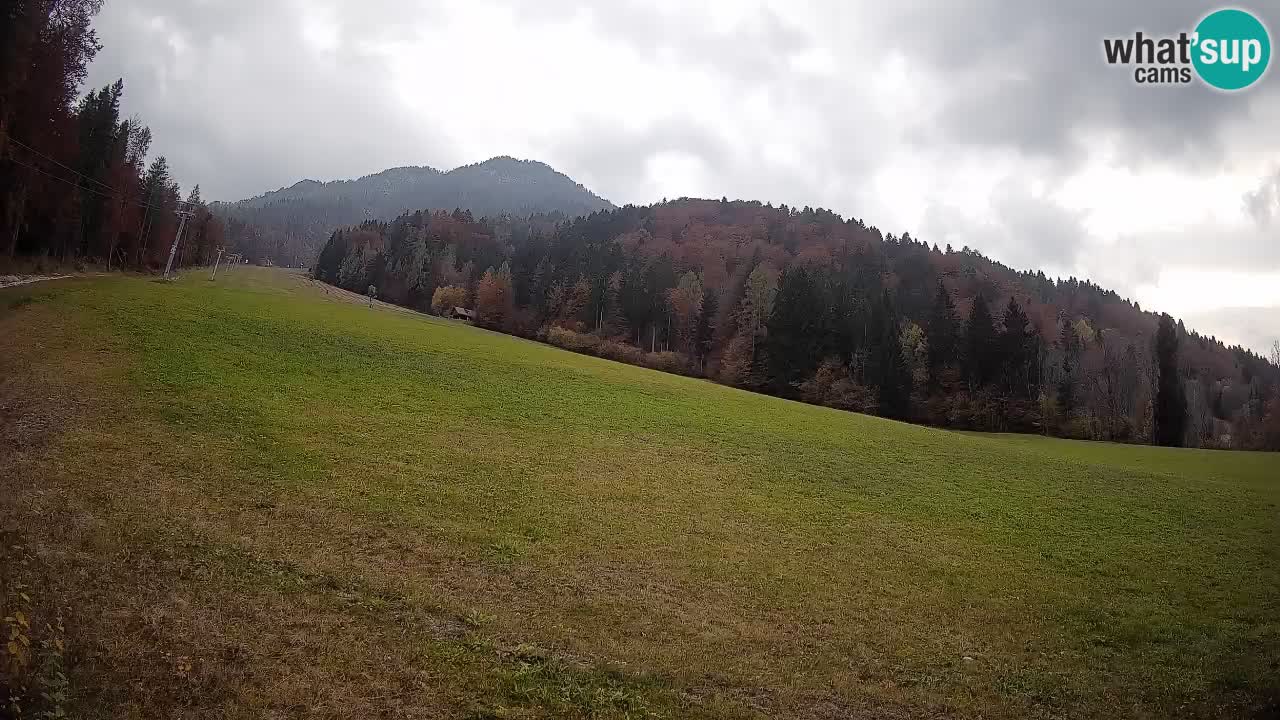 RTC Skigebiet Kranjska Gora | Brsnina