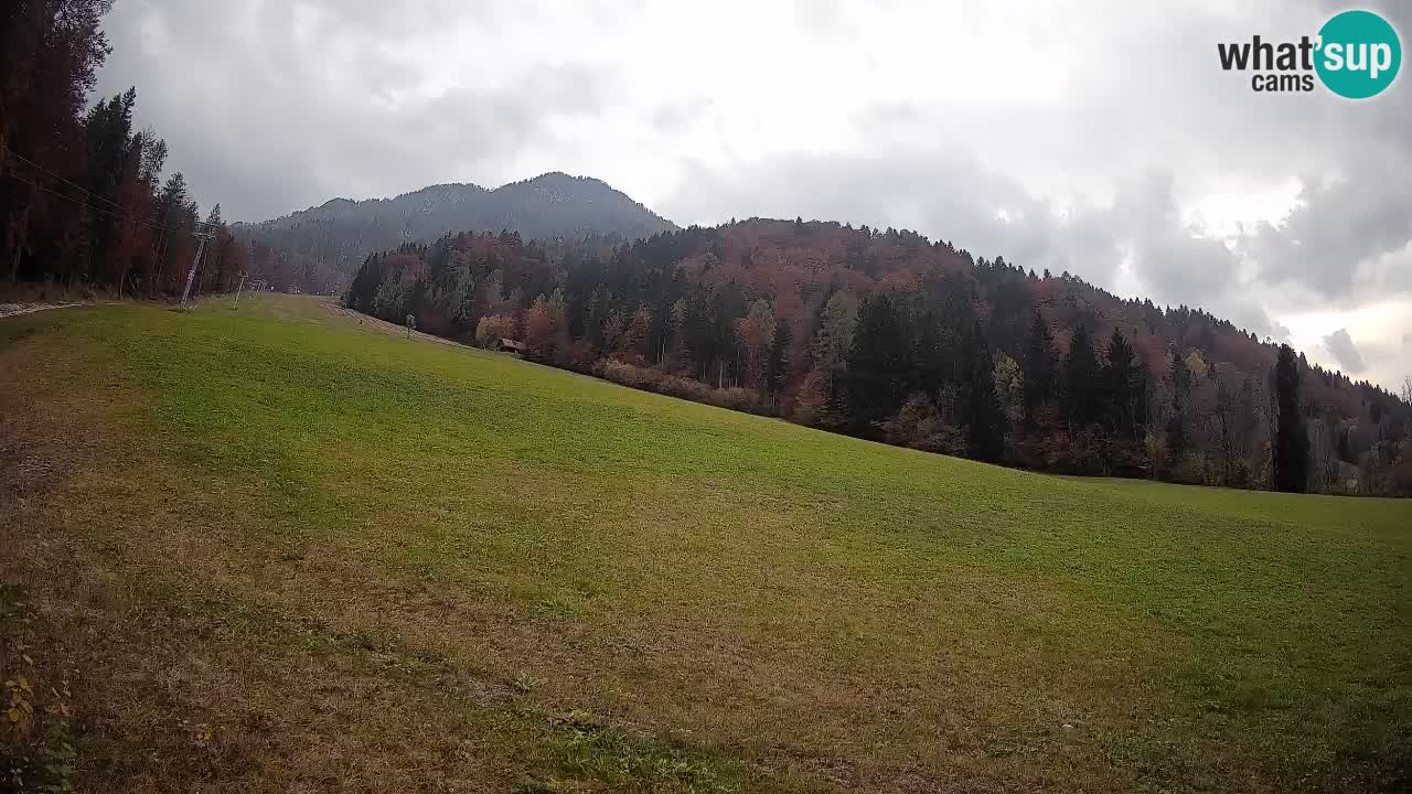 Ski Kranjska Gora | Brsnina