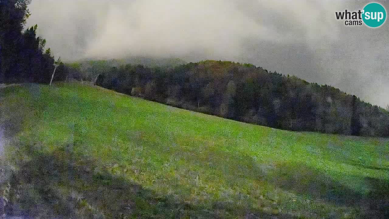 RTC Skigebiet Kranjska Gora | Brsnina