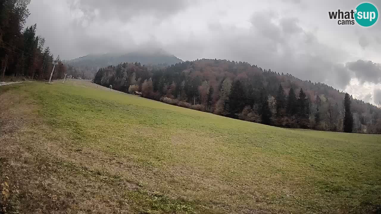 RTC Skigebiet Kranjska Gora | Brsnina