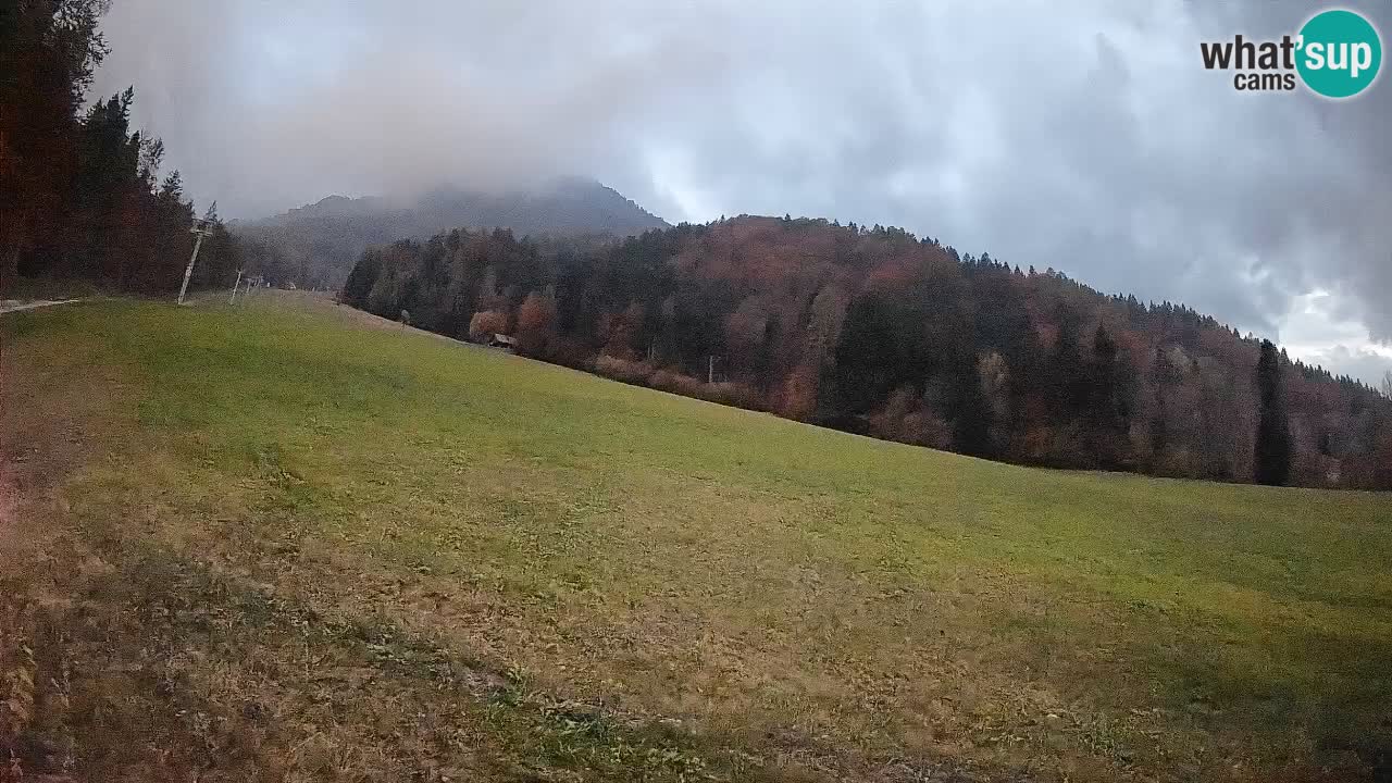 Comprensorio sciistico Kranjska Gora | Brsnina