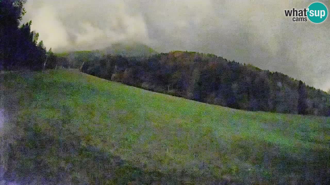 Ski Kranjska Gora | Brsnina