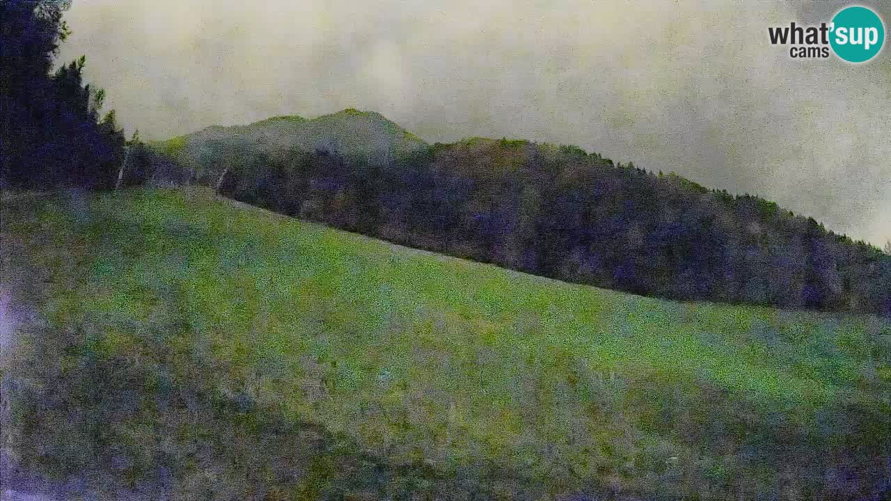 Ski Kranjska Gora | Brsnina