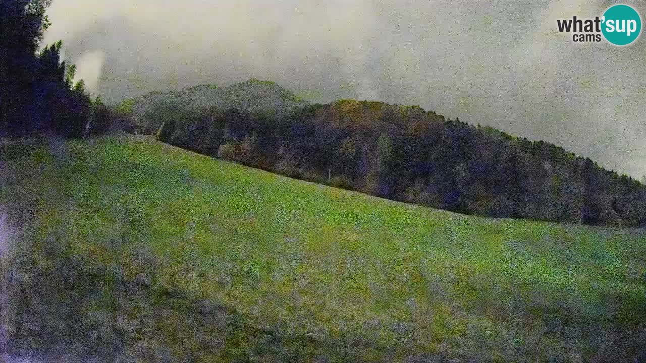 Ski Kranjska Gora | Brsnina
