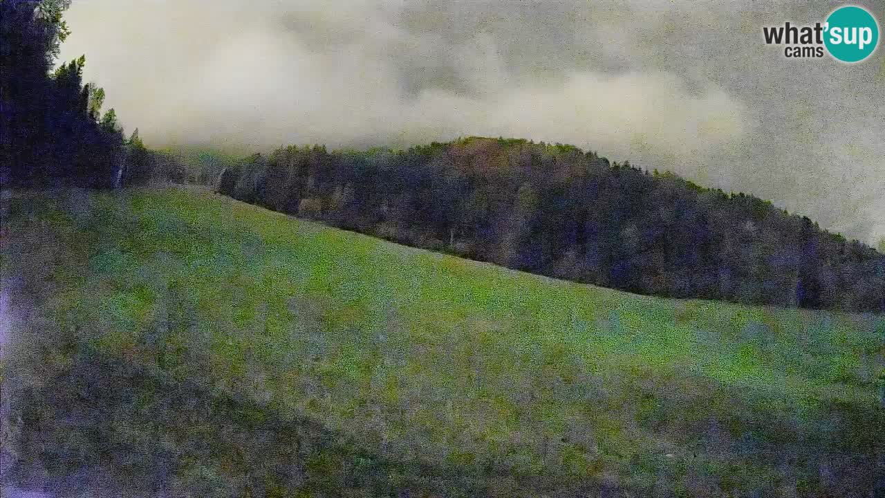 Ski Kranjska Gora | Brsnina