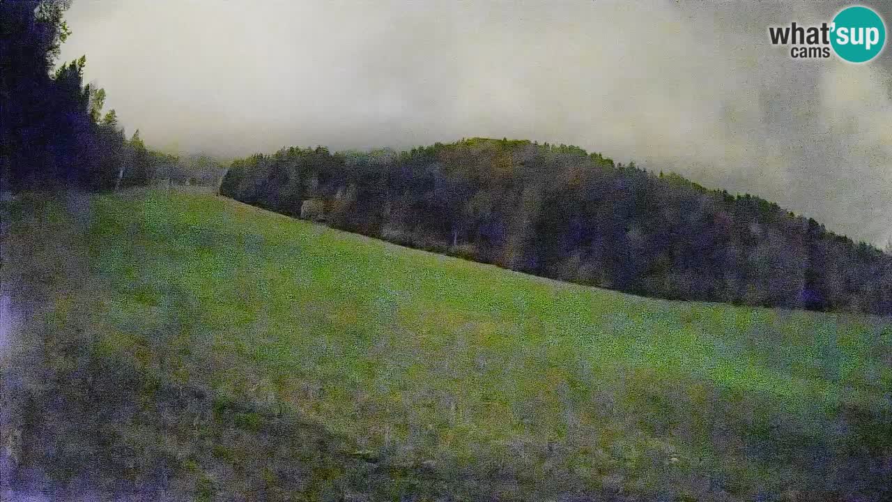 Ski Kranjska Gora | Brsnina