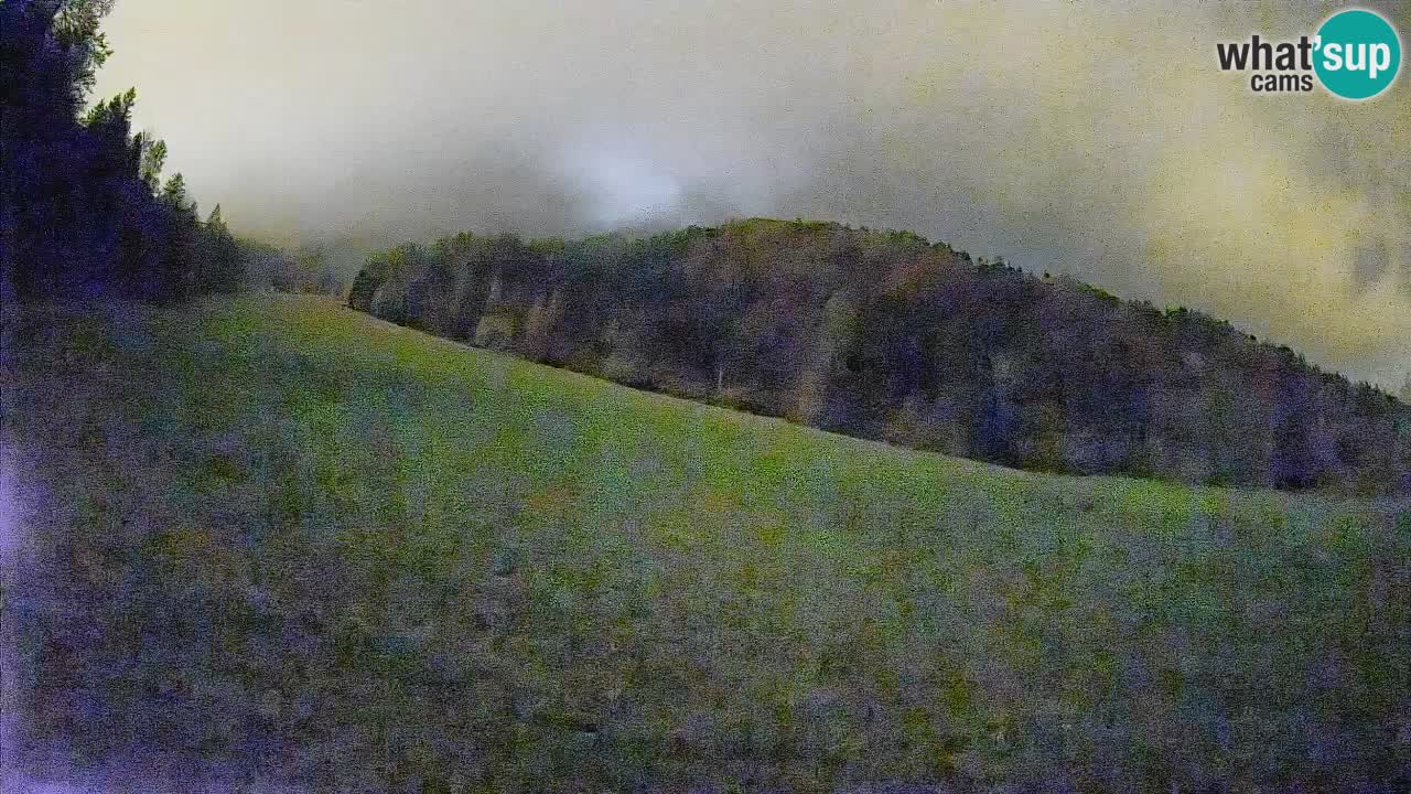 Esquí Kranjska Gora | Brsnina