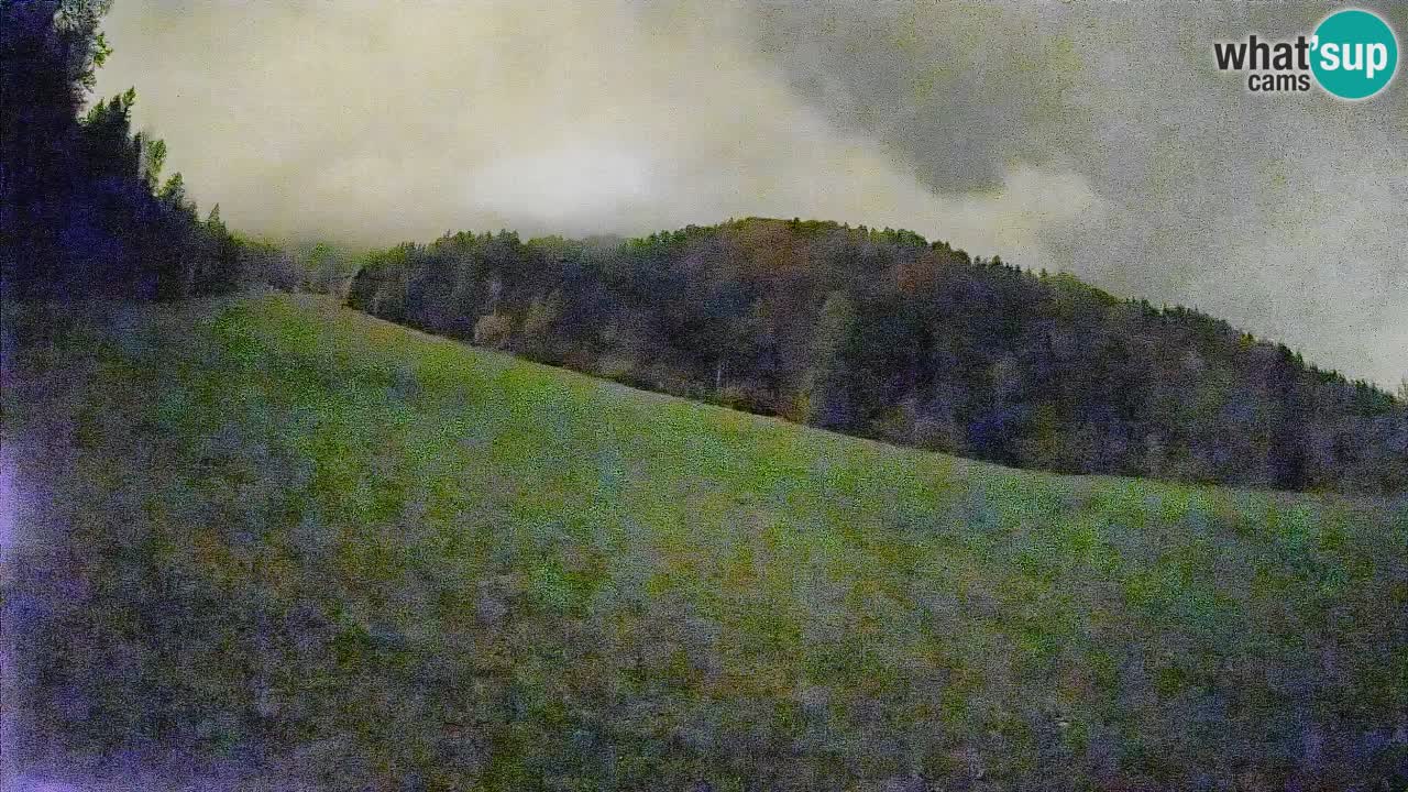 Esquí Kranjska Gora | Brsnina