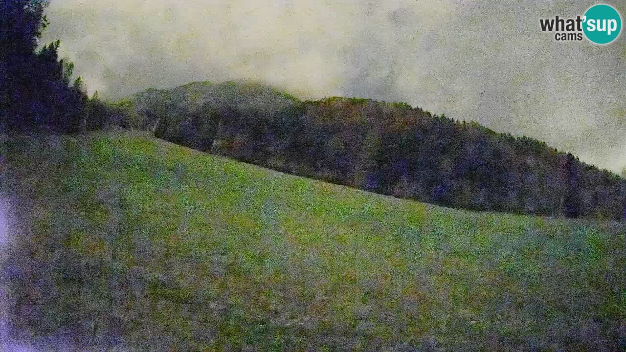 Esquí Kranjska Gora | Brsnina