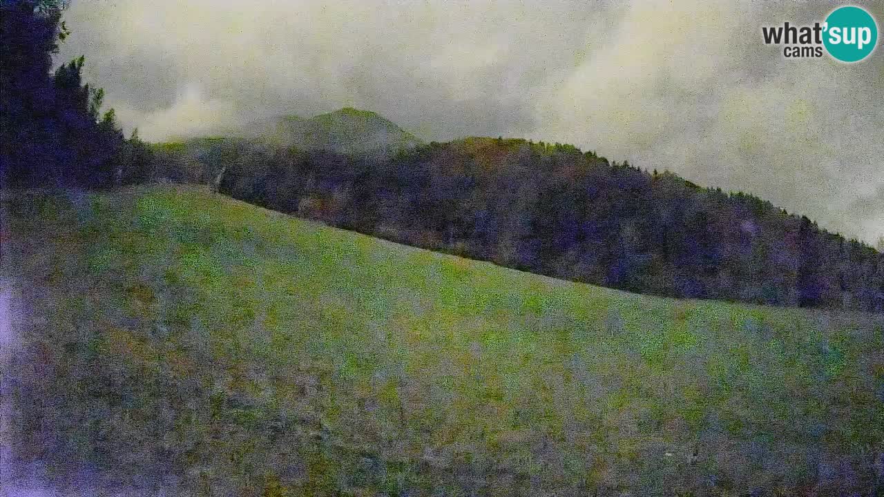 Esquí Kranjska Gora | Brsnina