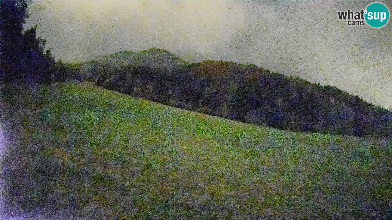 Kranjska Gora SKIJANJE | Brsnina
