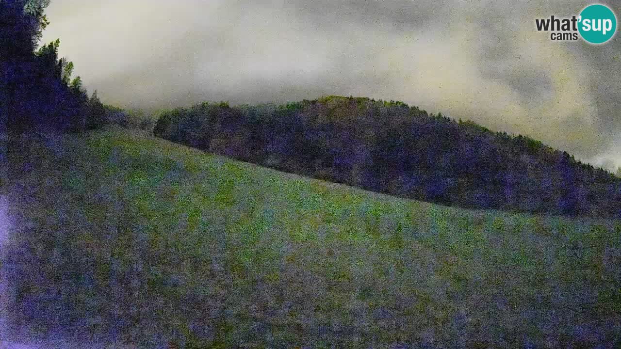 Ski Kranjska Gora | Brsnina