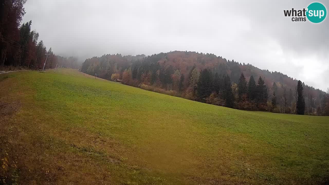 Ski Kranjska Gora | Brsnina