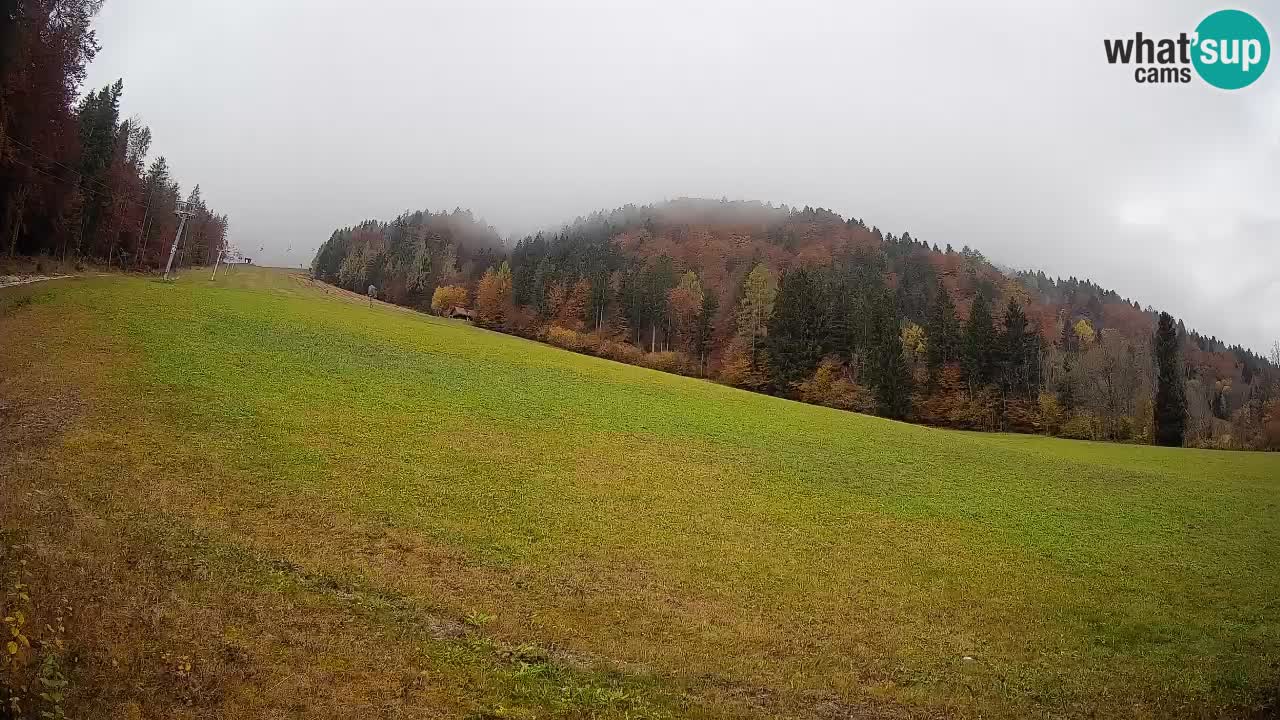 Ski Kranjska Gora | Brsnina