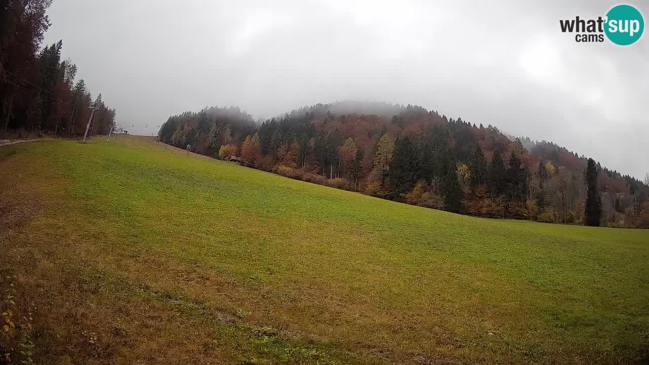 Ski Kranjska Gora | Brsnina