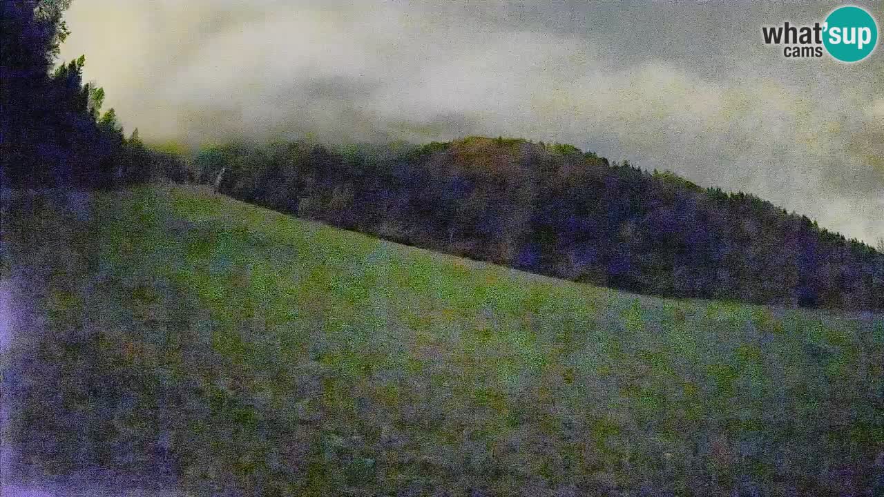 Esquí Kranjska Gora | Brsnina