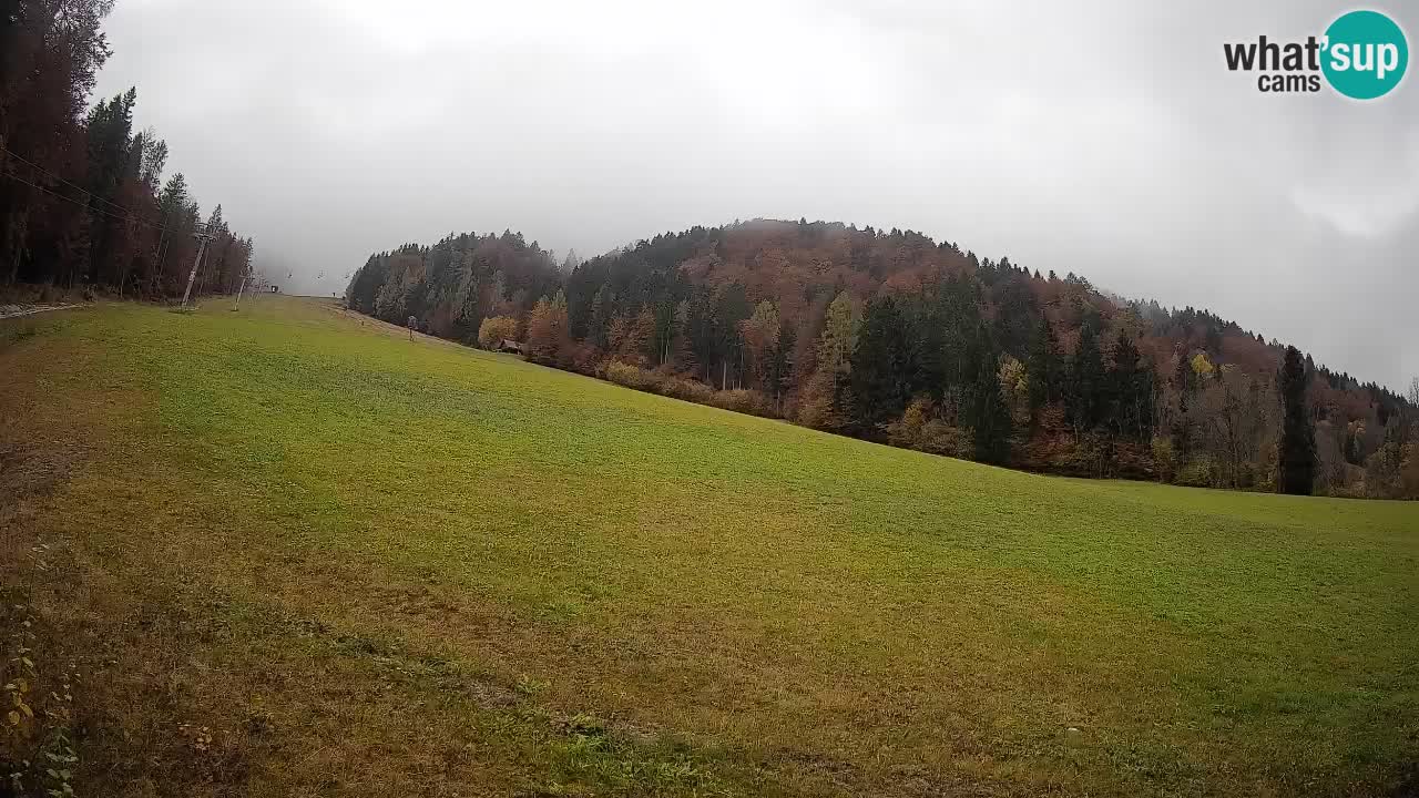 Esquí Kranjska Gora | Brsnina
