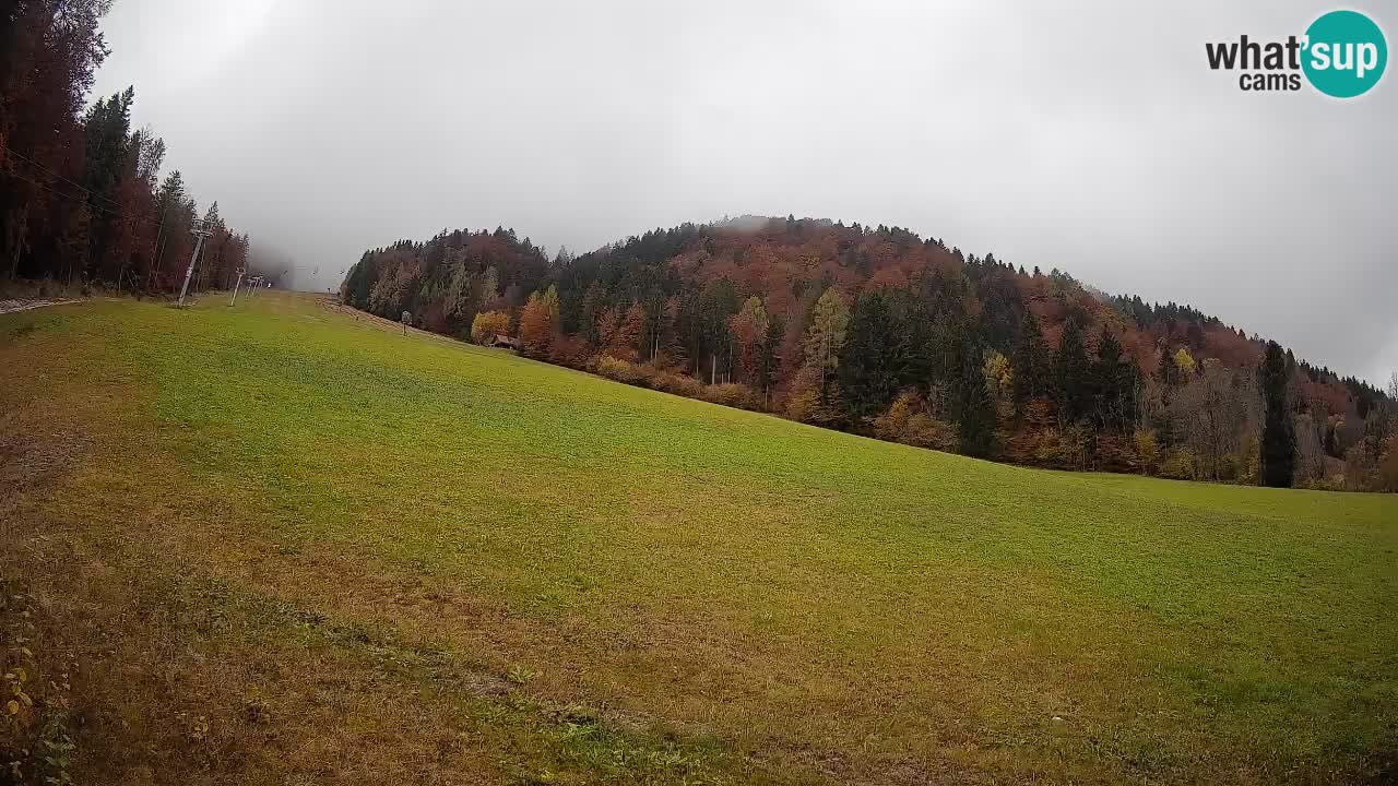 Esquí Kranjska Gora | Brsnina