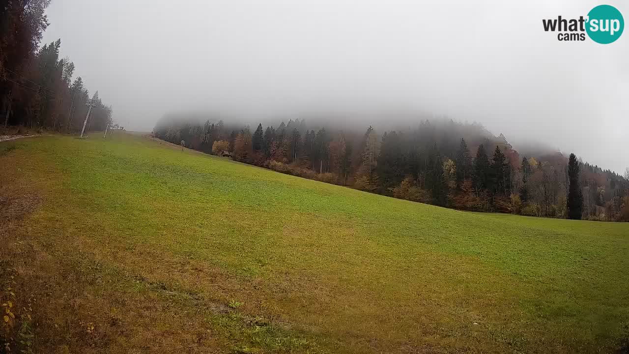 Comprensorio sciistico Kranjska Gora | Brsnina