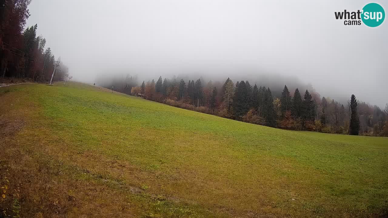 RTC Skigebiet Kranjska Gora | Brsnina