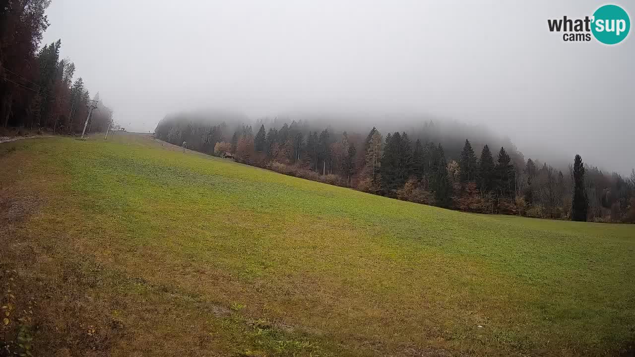 RTC Kranjska Gora | Brsnina