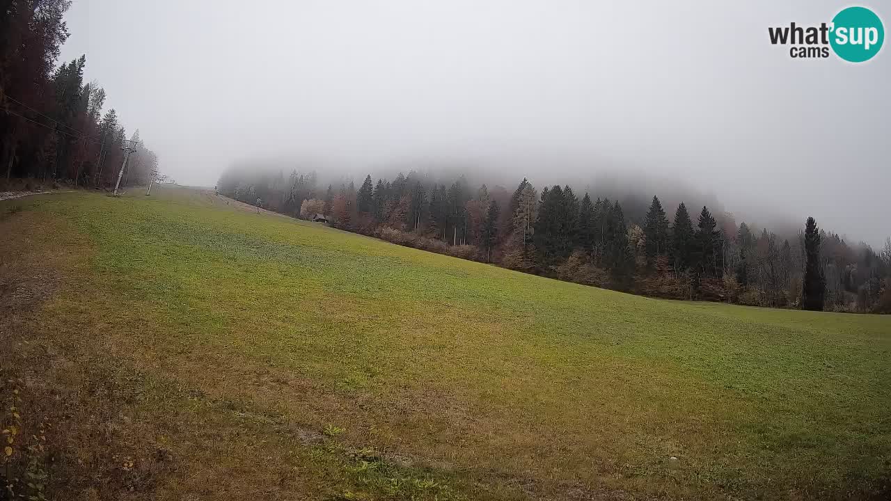 RTC Kranjska Gora | Brsnina