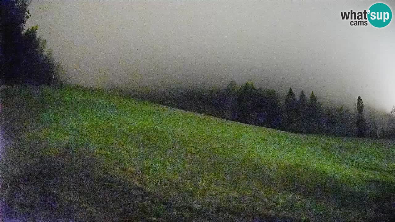 Comprensorio sciistico Kranjska Gora | Brsnina