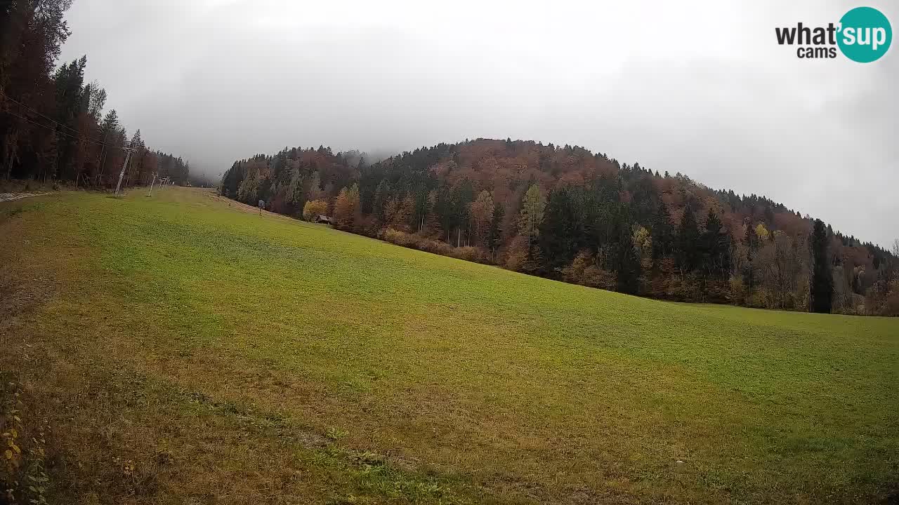 RTC Skigebiet Kranjska Gora | Brsnina