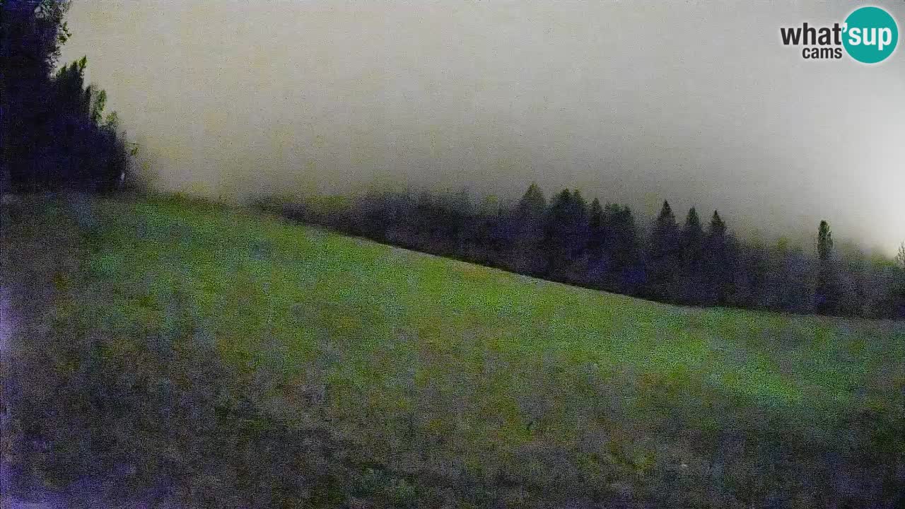 Comprensorio sciistico Kranjska Gora | Brsnina