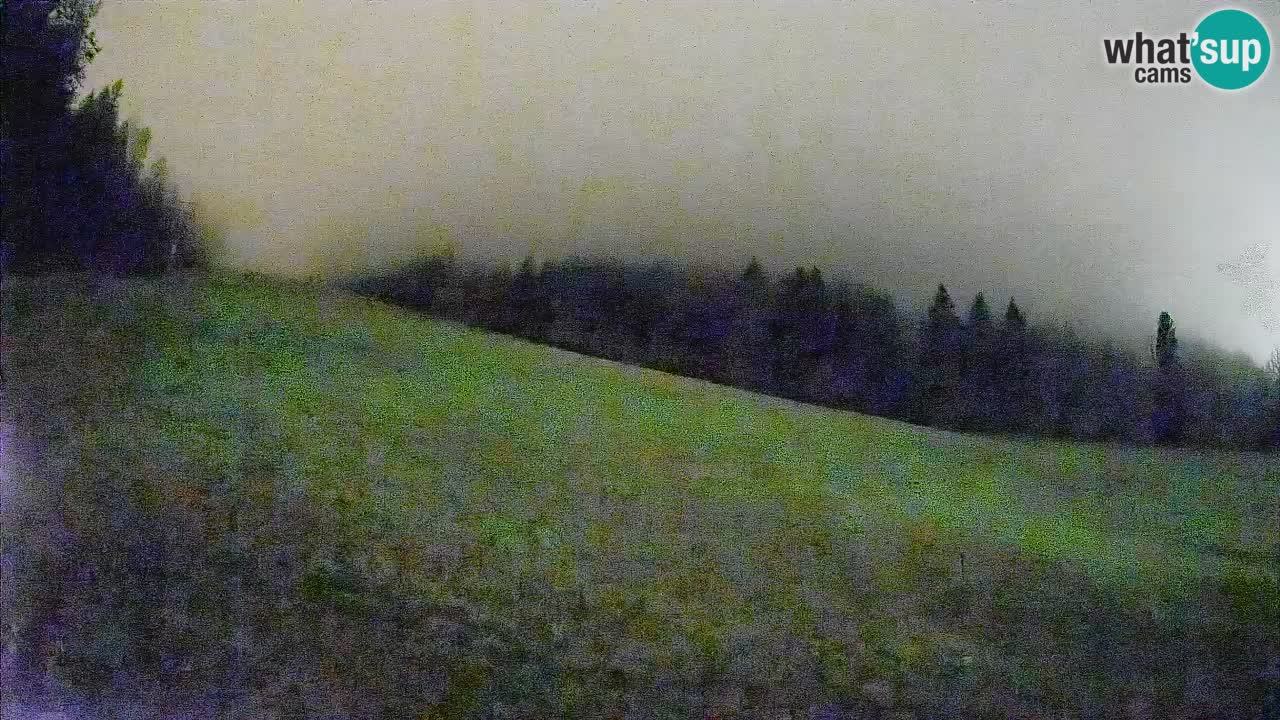 Esquí Kranjska Gora | Brsnina