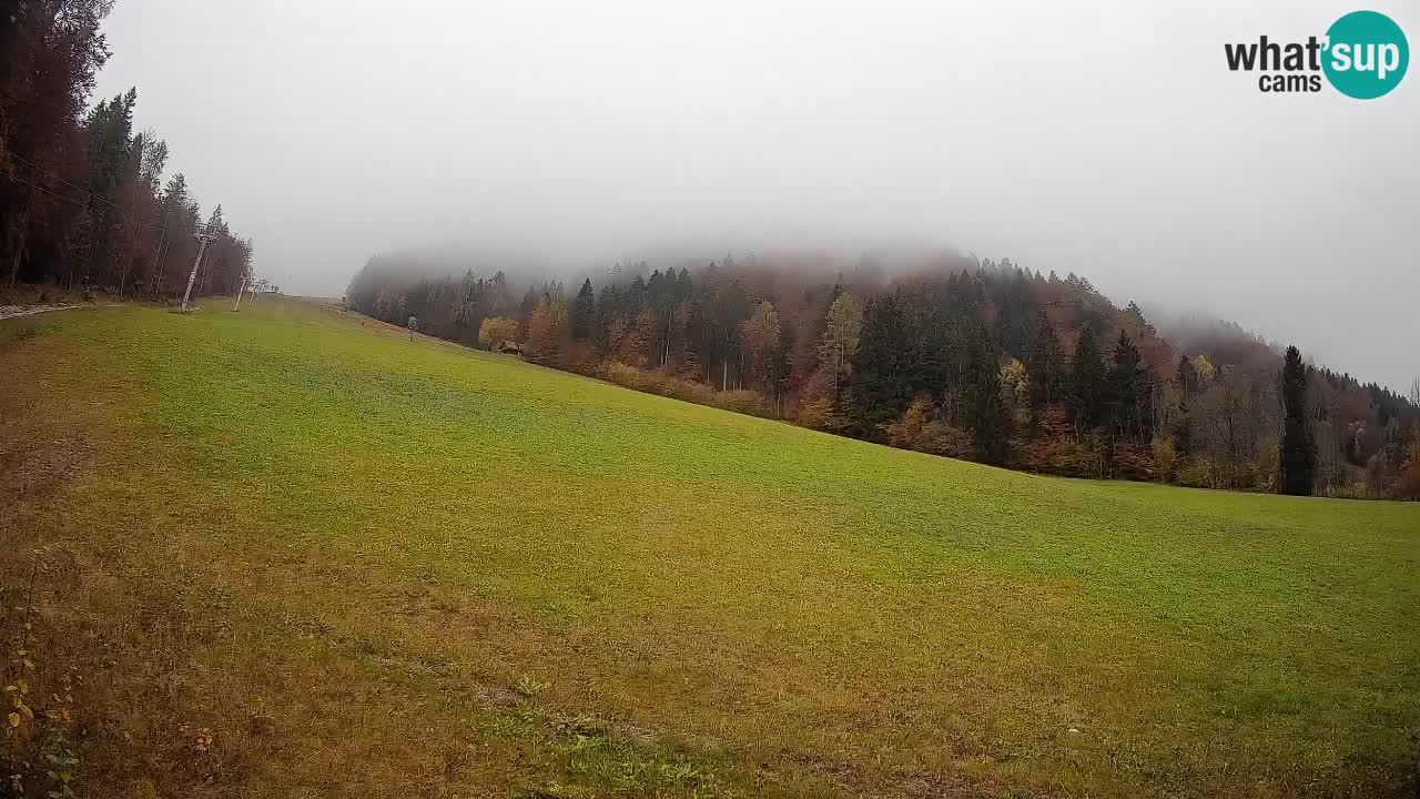 Kranjska Gora Station de ski | Brsnina
