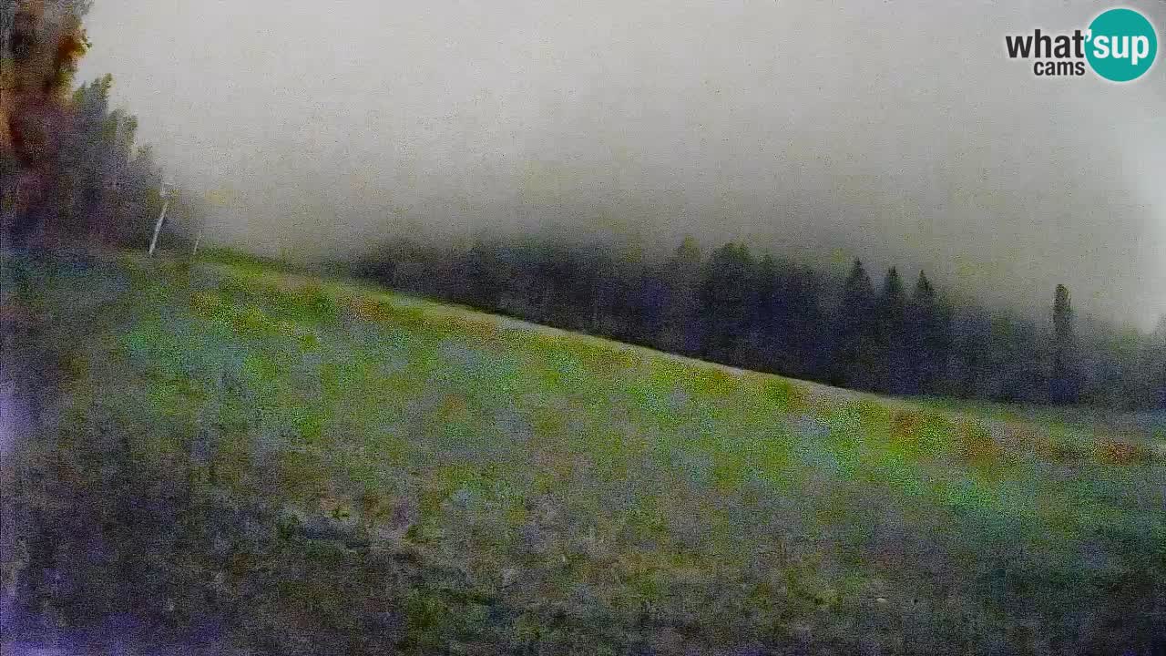 RTC Skigebiet Kranjska Gora | Brsnina