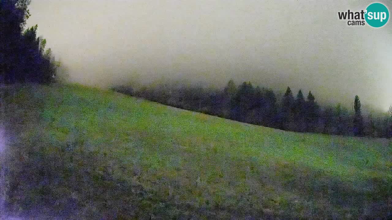 RTC Kranjska Gora | Brsnina