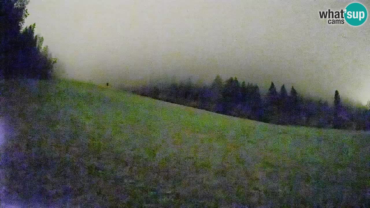 Comprensorio sciistico Kranjska Gora | Brsnina