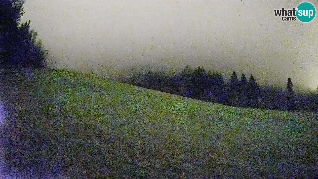 Ski Kranjska Gora | Brsnina