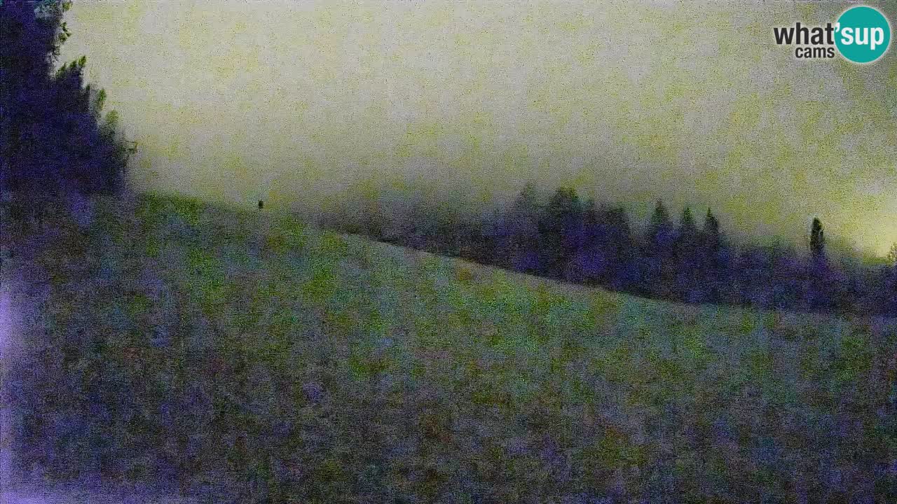 RTC Skigebiet Kranjska Gora | Brsnina
